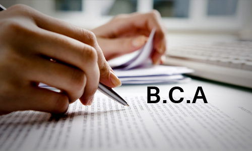 Bachelor of Computer Application (BCA)