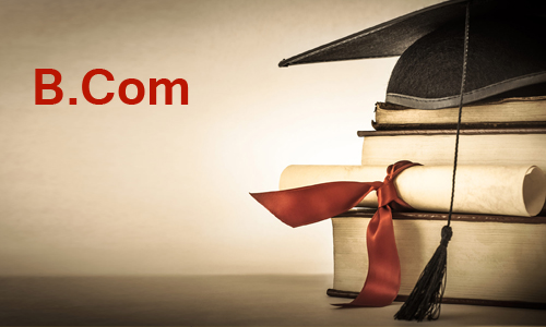 Bachelor of Commerce (B.Com)